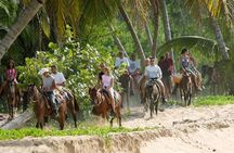 Punta Cana to Samana: El Limon Falls and Bacardi Island