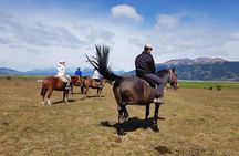 Rio Miter Horseback Riding