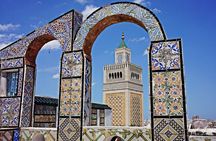 Tunis Group Tour: Carthage, Sidi Bou Said, Bardo museum & Medina