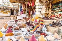 Half-Day Aswan Nubian Village Private Motorboat Tour