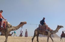 Customizable Layover Tour from Cairo Airport