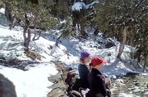 6 Days Poon Hill - Ghandruk Circuit Trek from Kathmandu