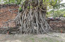 Private tour to Ayutthaya and Lopburi Monkey Temple (from Bangkok)