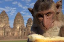 Private tour to Ayutthaya and Lopburi Monkey Temple (from Bangkok)