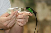 Bird Sanctuary (Montego Bay) Jamaica