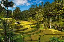 Exploring Bali in 3 Days: Discover Top Places in Bali