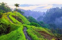 Ubud Countryside Tour: Campuhan Ridge Walk and Rice Terrace