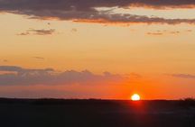 Luxury Okavango Safari - 3 Day