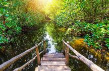 Jozani Forest Reserve Half-Day Guided Tour from Zanzibar