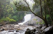 Chinnar Wild-life Visiting Tour (Eravikulam National Park)