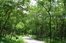 Chinnar Wild-life Visiting Tour (Eravikulam National Park)