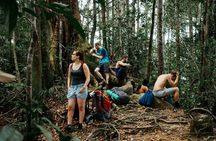 1 Day Sumatra Orangutan Jungle Trekking Medan - Bukit lawang 