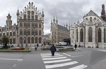 Private 6-hour Tour to Leuven from Brussels with driver and guide (in Leuven)