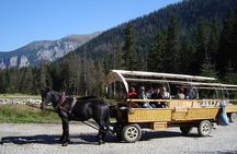 Morskie Oko Lake, Skywalk, Zakopane and Thermal Pools