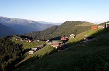 Organic Pokut Tour