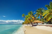 Saona Island Day Tour