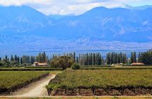 5-Day Salta Luxury Trip - The Best of Northern Argentina