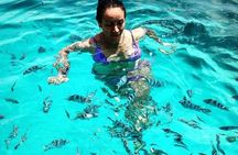 4 Days/ 3 Night Zanzibar Tours