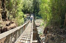 Full day HIKE Alerce Andino Parque Nacional.