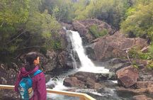 Full day HIKE Alerce Andino Parque Nacional.