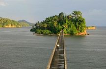 Full day tour to samana bay from punta cana
