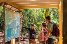 Ho Chi Minh City: Long Phuoc Tunnels & Long Tan Battlefield Tour