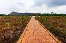Ho Chi Minh City: Long Phuoc Tunnels & Long Tan Battlefield Tour