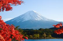 Fuji and Lake Kawaguchi Tour