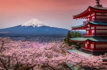 Fuji and Lake Kawaguchi Tour