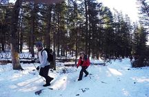 Private - Bogd Khan National Park Hiking Day Trip