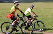 Private - Mountain Biking Day Trip in Baga Khenty Mountains