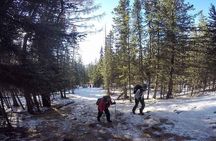 Private - Bogd Khan National Park Hiking Day Trip