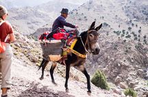 2 day mount toubkal trek ( private trek ) 