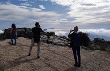 Guided tour of the Dolmens and El Torcal