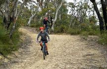 Hanging Rock E-Bike Adventure: Epic Blue Mountains Views