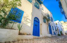 Bardo Museum- The ruins of Carthage- Village of Sidi Bou Said