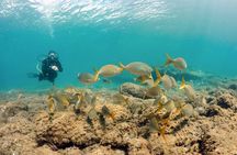 2 Dive Package for Qualified Divers in Gran Canaria 