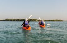 Mangroves Kayaking with Pickup & Drop Off