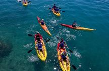 Mangroves Kayaking with Pickup & Drop Off