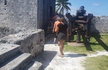 Island City Tour 