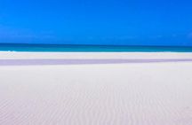 Boa Vista Island: Half-day Tour + Santa Monica Beach by 4x4