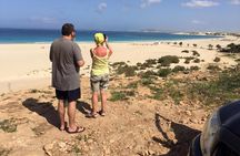 Boa Vista Island: Half-day Tour + Santa Monica Beach by 4x4