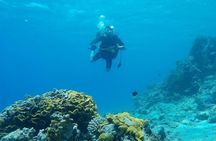 Shore Discover SCUBA Diving/Introductory Diving - One Dive