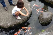 Nagasaki City and Shimabara Peninsular Sightseeing Tour