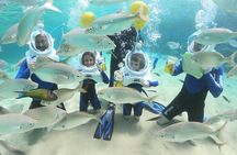 Sea Trek (exclusive in Lanzarote)