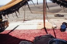 Desert Agafay trip from Marrakech