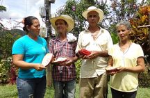 Private tour: Peacebuilding in Antioquia - From Coca Fields to Cocoa!