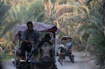 PRIVATE 2 day SAFARI (Ksar Ghilane and Atlas Mountains) from Jerba 