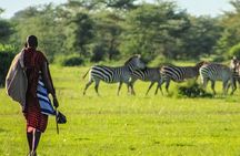 3 Day Mombasa Tour - City Tour, Watamu & Diani