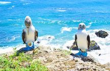 Magnificent Machalilla Park Tour

